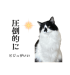 meme's stamp ver.3（個別スタンプ：15）
