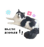 meme's stamp ver.3（個別スタンプ：16）
