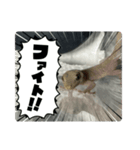 ヤモリのおはぎ（個別スタンプ：7）