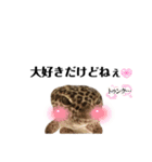 だいすけ＆チョロ（個別スタンプ：11）