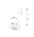 なぞのシュールキャラ2（個別スタンプ：24）