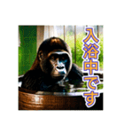 お風呂に入るゴリラさん（個別スタンプ：1）