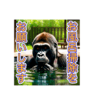 お風呂に入るゴリラさん（個別スタンプ：5）