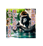お風呂に入るゴリラさん（個別スタンプ：6）