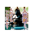 お風呂に入るゴリラさん（個別スタンプ：10）