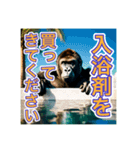 お風呂に入るゴリラさん（個別スタンプ：14）