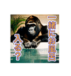お風呂に入るゴリラさん（個別スタンプ：17）