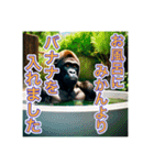 お風呂に入るゴリラさん（個別スタンプ：18）