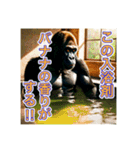 お風呂に入るゴリラさん（個別スタンプ：21）