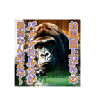 お風呂に入るゴリラさん（個別スタンプ：22）
