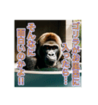 お風呂に入るゴリラさん（個別スタンプ：24）