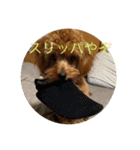 犬猫スターンプ第一弾（個別スタンプ：7）
