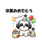 毎日シーズー 挨拶返答編 イヌ いぬ 犬（個別スタンプ：11）