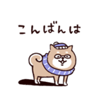 ◯SHIBAINUさん◯冬多め（個別スタンプ：7）