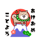 ◯SHIBAINUさん◯冬多め（個別スタンプ：16）