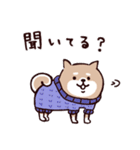 ◯SHIBAINUさん◯冬多め（個別スタンプ：22）