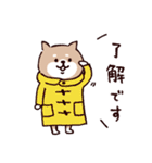 ◯SHIBAINUさん◯冬多め（個別スタンプ：29）