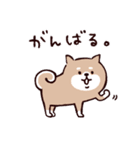 ◯SHIBAINUさん◯冬多め（個別スタンプ：32）