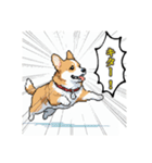 毎日使えるコーギー犬スタンプ（個別スタンプ：3）