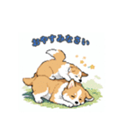 毎日使えるコーギー犬スタンプ（個別スタンプ：4）