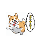 毎日使えるコーギー犬スタンプ（個別スタンプ：6）