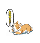 毎日使えるコーギー犬スタンプ（個別スタンプ：13）