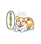 毎日使えるコーギー犬スタンプ（個別スタンプ：15）