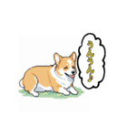 毎日使えるコーギー犬スタンプ（個別スタンプ：16）