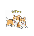 毎日使えるコーギー犬スタンプ（個別スタンプ：17）