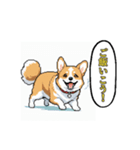 毎日使えるコーギー犬スタンプ（個別スタンプ：19）