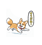 毎日使えるコーギー犬スタンプ（個別スタンプ：21）