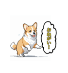 毎日使えるコーギー犬スタンプ（個別スタンプ：22）