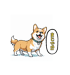 毎日使えるコーギー犬スタンプ（個別スタンプ：26）