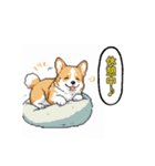 毎日使えるコーギー犬スタンプ（個別スタンプ：27）