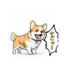 毎日使えるコーギー犬スタンプ（個別スタンプ：31）