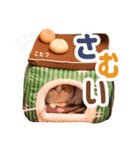 ぽんずとみりんの使いやすいスタンプ2（個別スタンプ：31）