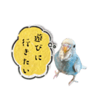 気持ちを伝えるインコのぽっちゃん（個別スタンプ：32）