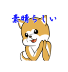 秋田犬と幸せな時間（個別スタンプ：5）