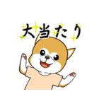 秋田犬と幸せな時間（個別スタンプ：23）