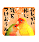 【インコ】動く！情景ひろがるPop-Up（個別スタンプ：16）