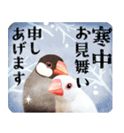 【文鳥】動く！情景ひろがるPop-Up（個別スタンプ：23）