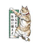 意外と使えるリアル猫とお金の年末年始2025（個別スタンプ：15）