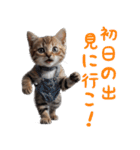 猫ミーム☆年末年始【お正月・あけおめ】（個別スタンプ：9）