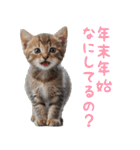 猫ミーム☆年末年始【お正月・あけおめ】（個別スタンプ：12）