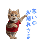 猫ミーム☆年末年始【お正月・あけおめ】（個別スタンプ：15）