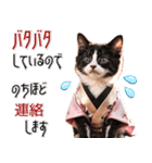 リアル着物ねこ♡年末年始 年賀（個別スタンプ：30）