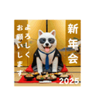 新年のご挨拶☆サラリーマン犬ぬいぐるみ（個別スタンプ：12）