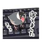 すけケケの文鳥スタンプ(桜文鳥ごましお)（個別スタンプ：14）