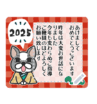 ◆書ける！新年あけおめ⭐︎2025フレブル！（個別スタンプ：4）