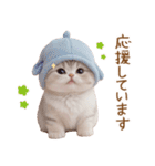 スコティッシュ猫 感情伝える日常 敬語（個別スタンプ：21）